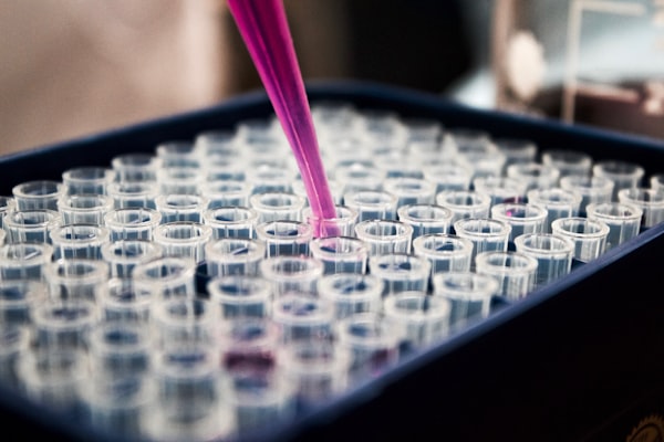 Urolithin A longevity supplement mitophagy 2026