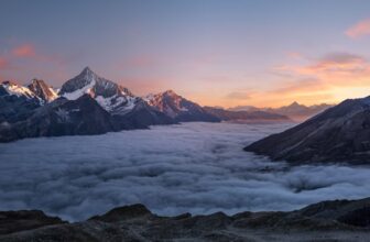 rhodiola rosea adaptogen stress burnout supplement 2026