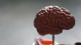Iodine Deficiency Supplements 2026: The Thyroid Nutrient Making a Comeback