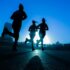 Stress Supplements 2026: What Actually Works for Anxiety and Cortisol (With RCT Evidence)