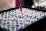 Biohacking Supplements 2026: The Evidence-Based Stack (AI Search Guide)